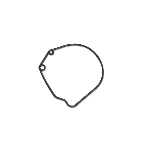 Float O-ring for SCREAMIN EAGLE butterfly
